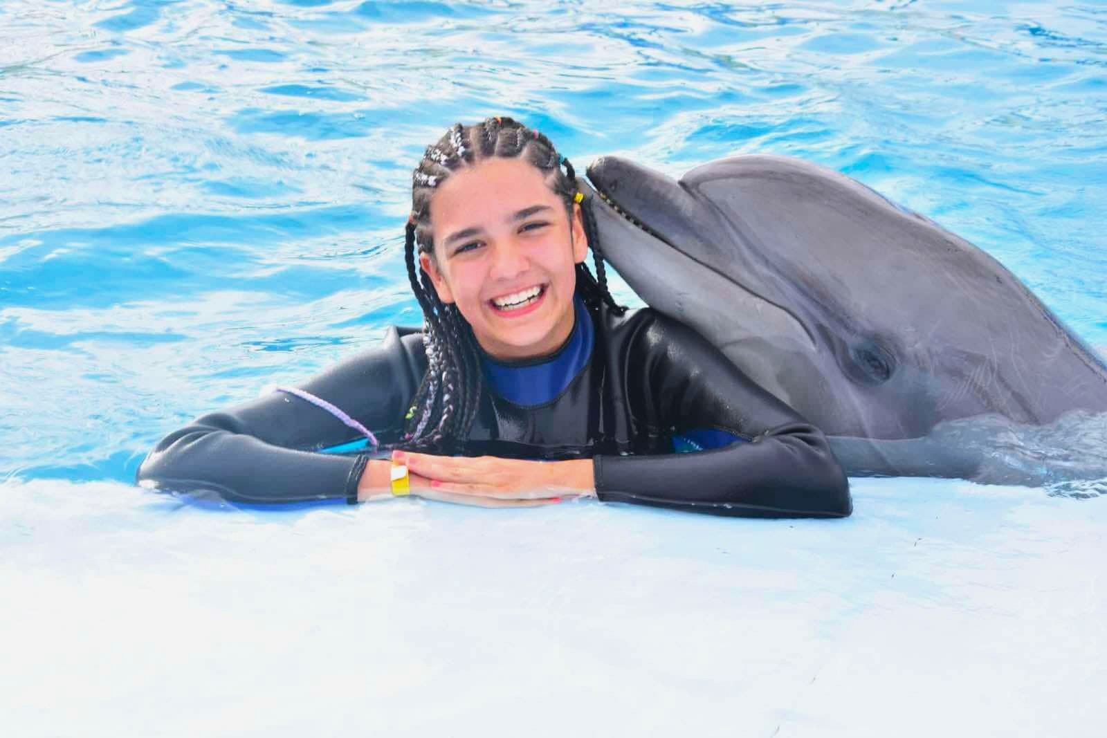 6a519d43-54d8-4514-95ec-3a5323fda13a