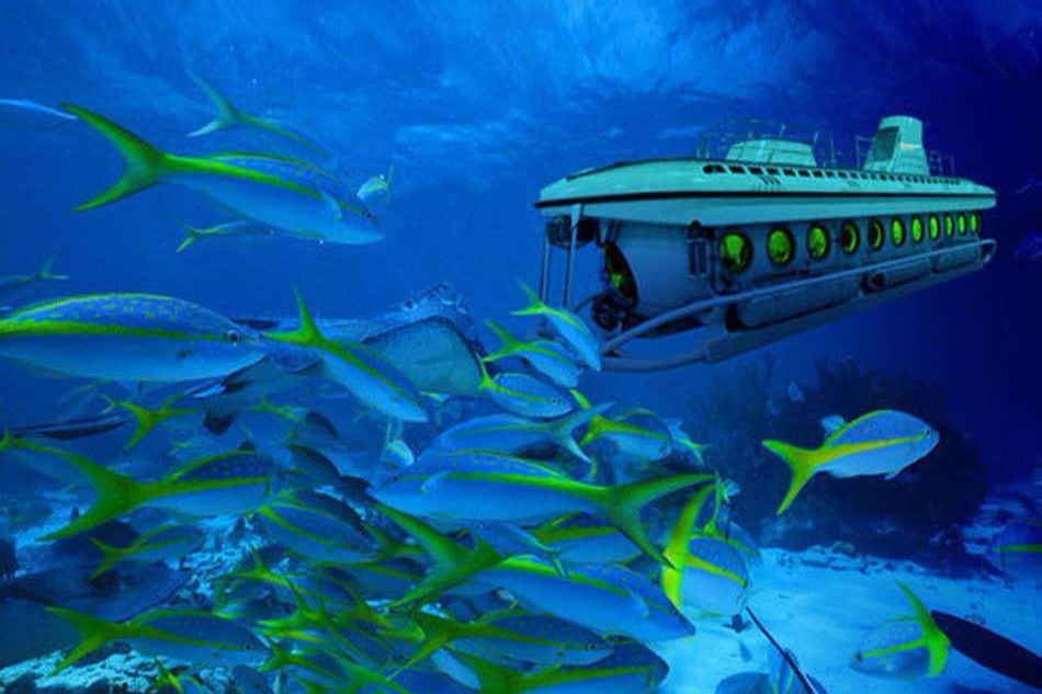 Submarin – łódź podwodna