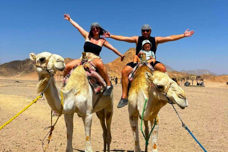 Jazda wielbłądami / konno