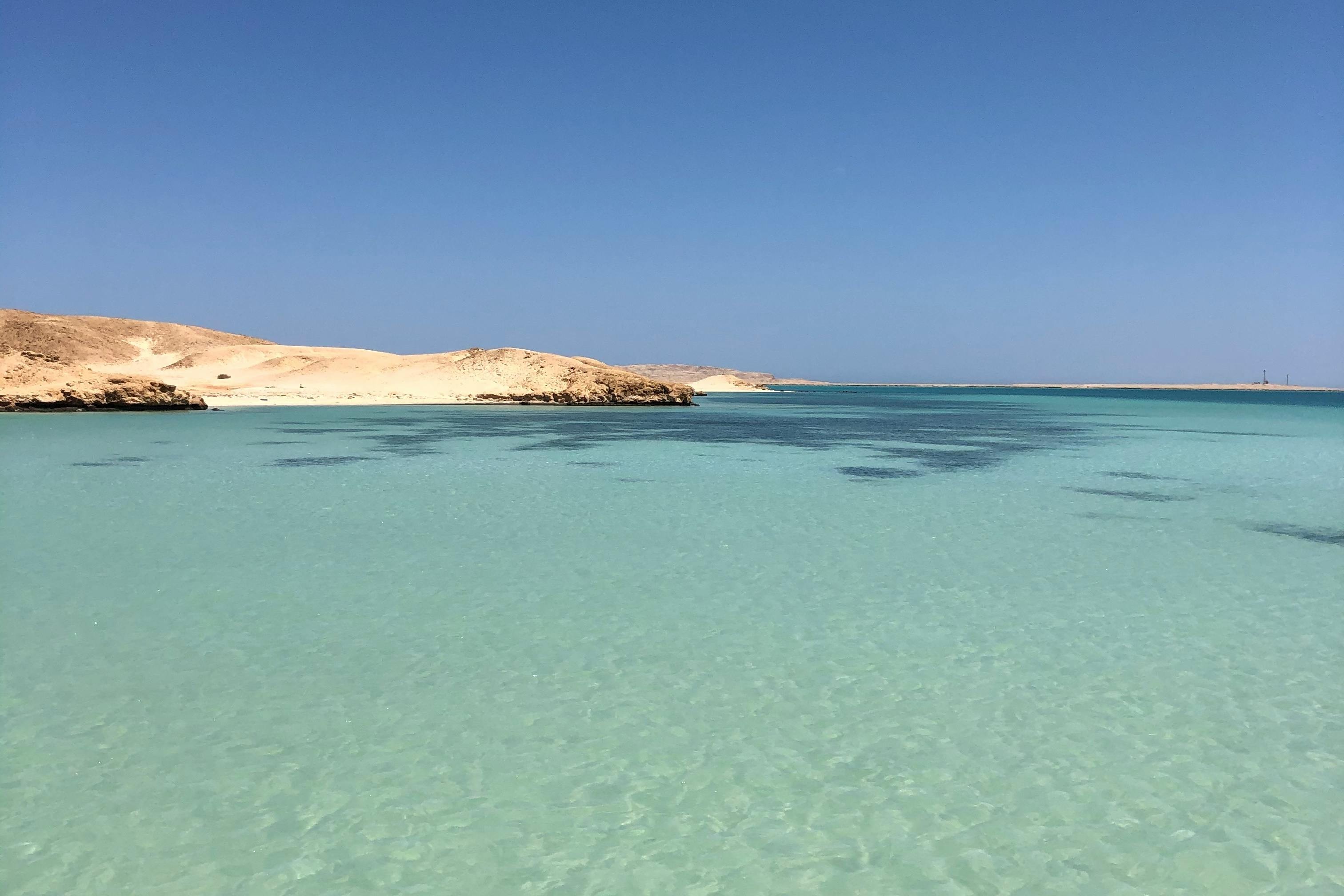 pexels-78160932-10037505