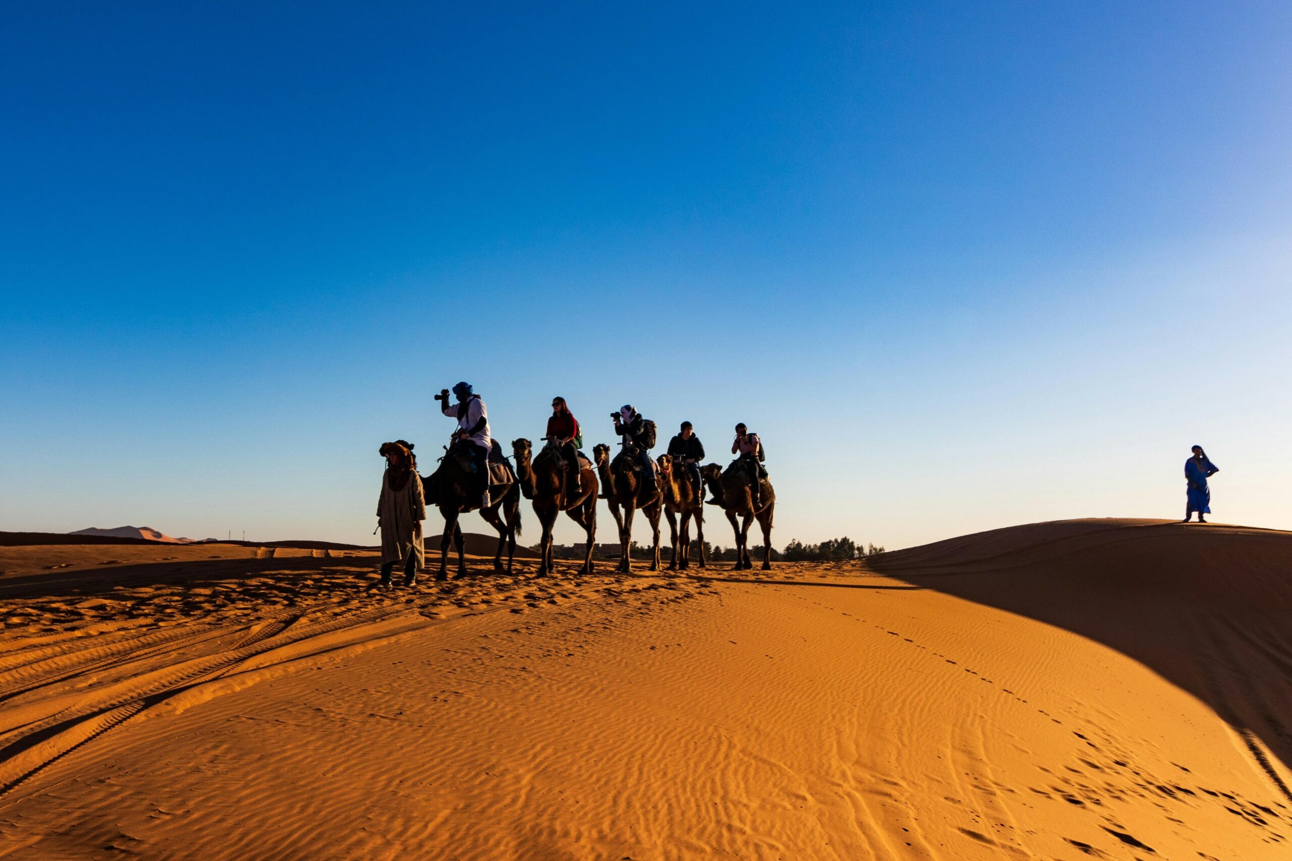 pexels-tomas-malik-793526-1703312